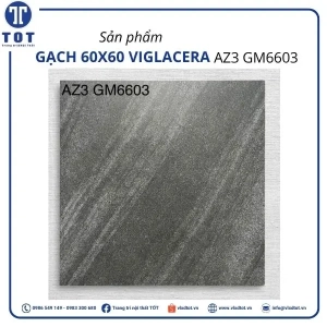 az3-gm6603