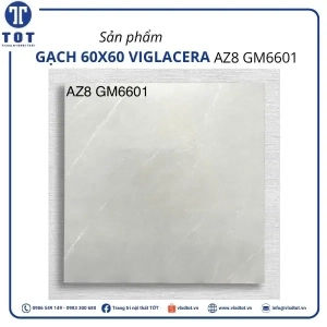az8-gm6601