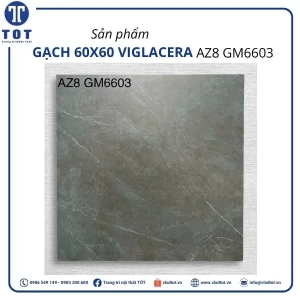 az8-gm6603