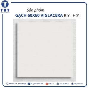 biy-h01