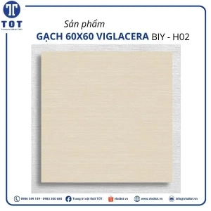 biy-h02