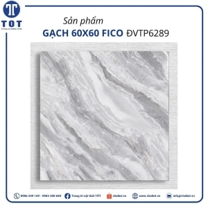 dvtp6289