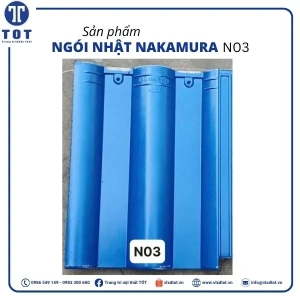 n03