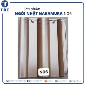 n06