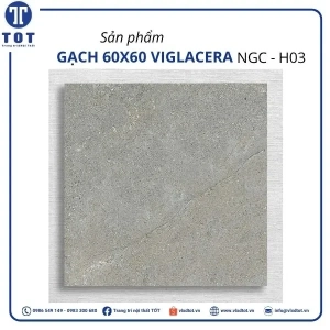 ngc-h03