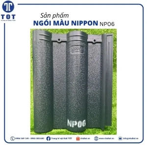 np06