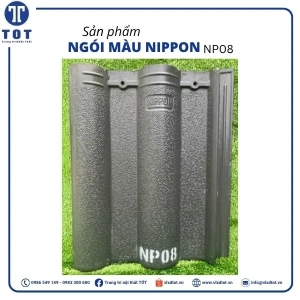 np08