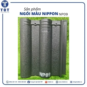 np09