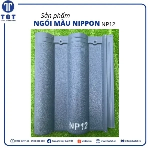np12-1