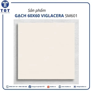 sm601