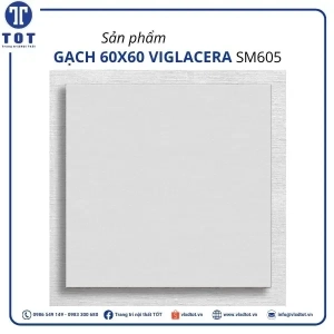 sm605