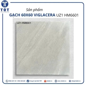 uz1-hm6601