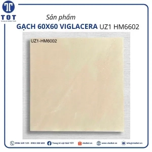 uz1-hm6602
