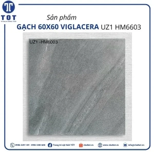 uz1-hm6603