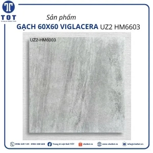 uz2-hm6603