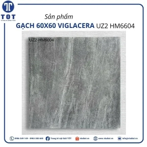 uz2-hm6604
