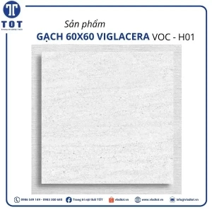 voc-h01