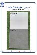 Gạch Ốp Tường 30x60 Đá VIGLACERA M36015-36014