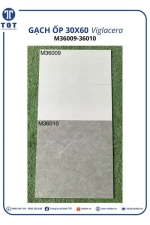 Gạch Ốp Tường 30x60 Đá VIGLACERA M36009-36010