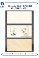 Gạch Ốp Tường 30x60 TASA BD7209-7210-7211