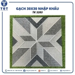 Gạch Lát Nền 30x30 Nhập Khẩu TK3203