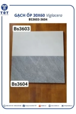 Gạch Ốp Tường 30x60 Đá VIGLACERA BS3603-3604