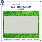 Gạch Ốp Tường 30x60 TAICERA G63025