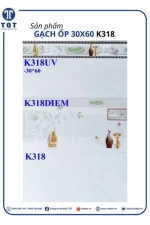 Gạch Ốp Tường 30x60 LONG HẦU K318