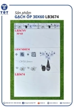 Gạch Ốp Tường 30x60 LONG HẦU LB3674