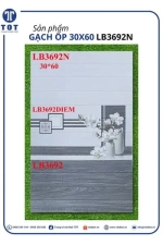 Gạch Ốp Tường 30x60 LONG HẦU LB3692N