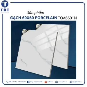 tqa6601n
