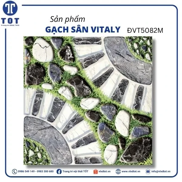 dvt5082m