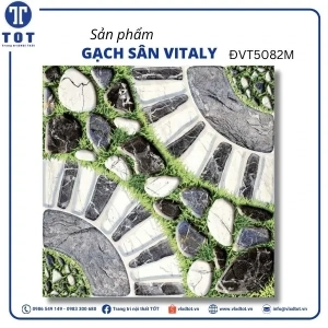 dvt5082m