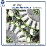 Gạch Sân Vườn 50x50 VITALY ĐVT5082M