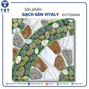 dvt5084m