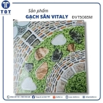 Gạch Sân Vườn 50x50 VITALY ĐVT5085M