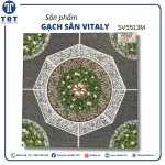 Gạch Sân Vườn 50x50 VITALY SV5513M