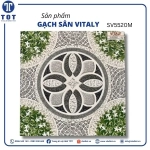 Gạch Sân Vườn 50x50 VITALY SV5520M