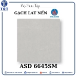 Gạch lát nền 60x60 Viglacera ASD 6645SM