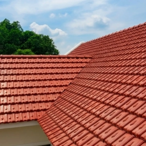 ngoi-dat-nung-avt