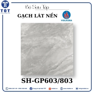 gach-lat-nen-viglacera-8080-sh-gp603-803