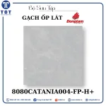 Gạch Ốp Lát Đồng Tâm 8080CATANIA004-FP-H+