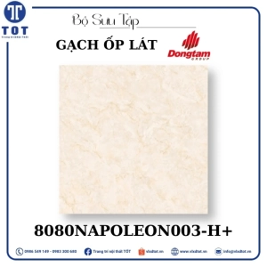gach-op-lat-dong-tam-8080napoleon003-h