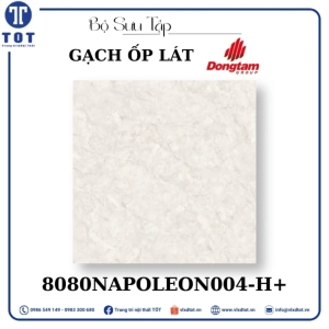gach-op-lat-dong-tam-8080napoleon004-h