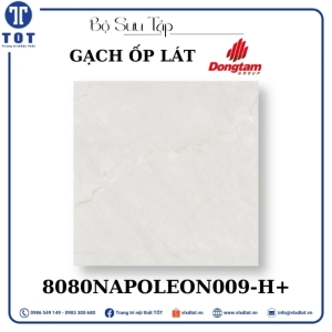 gach-op-lat-dong-tam-8080napoleon009-h