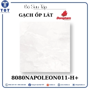gach-op-lat-dong-tam-8080napoleon011-h