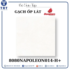 gach-op-lat-dong-tam-8080napoleon014-h