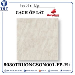 gach-op-lat-dong-tam-8080truongson001-fp-h