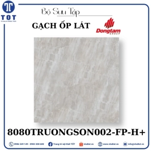 gach-op-lat-dong-tam-8080truongson002-fp-h
