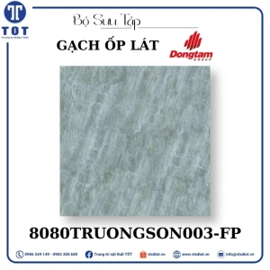 gach-op-lat-dong-tam-8080truongson003-fp